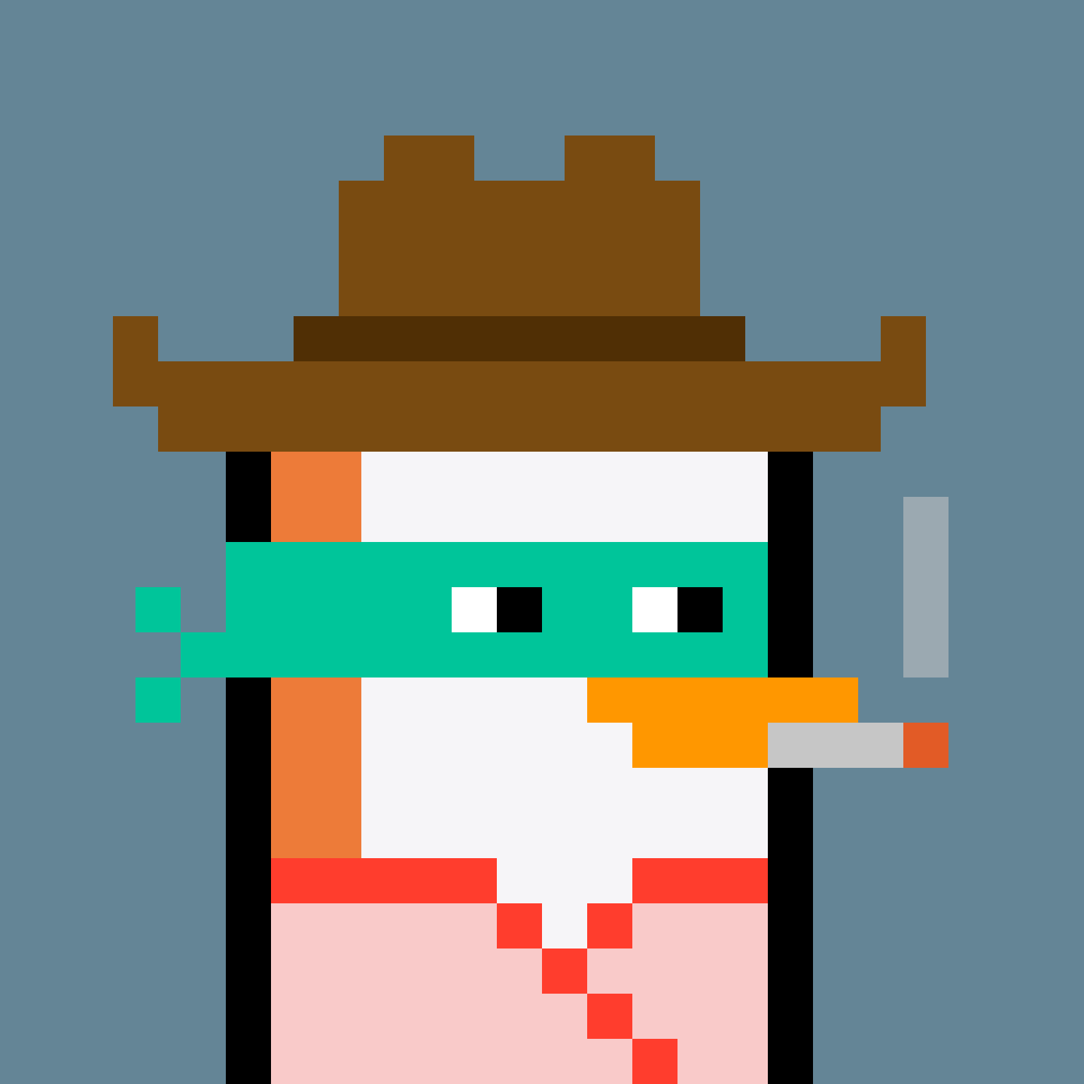 Pesky Penguin #474, burned for 0.595 SOL